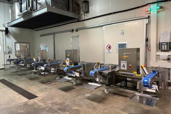 Funghi D'oro Italie.jpg